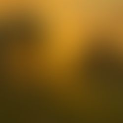 Othala rune (ᛟ) stands on a grassy hill