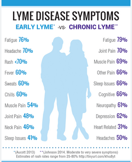 Is That Anxiety Really Just Stress? The Surprising Link Between Microbes and Your Mental Health