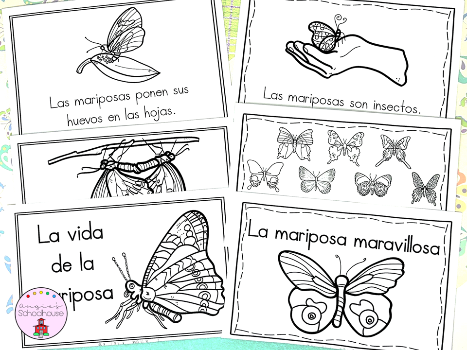 El ciclo de vida de la mariposa Mini Book