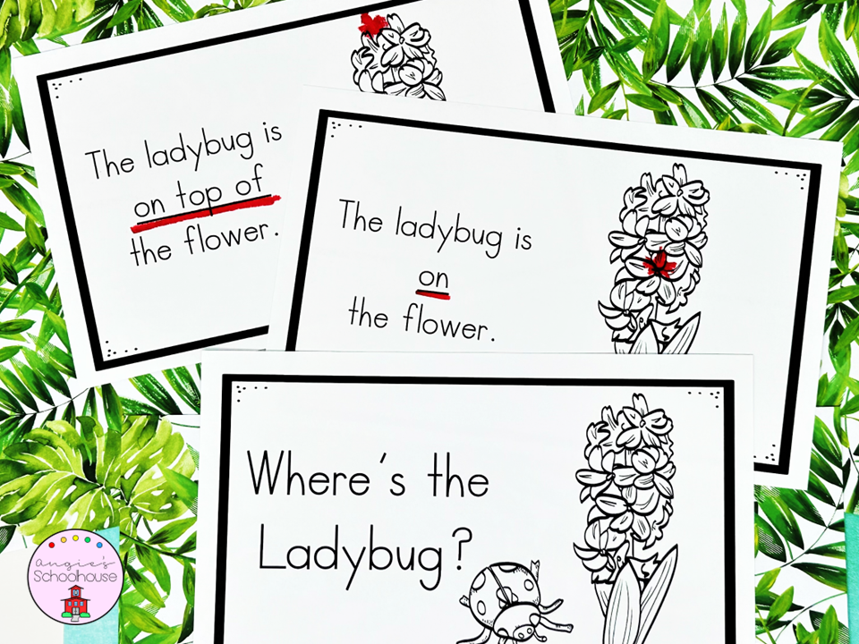 Ladybug Positional Words Mini Book