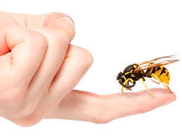 Butox natural: A APITOXINA
