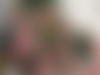 クリスマスツリーを飾りました。