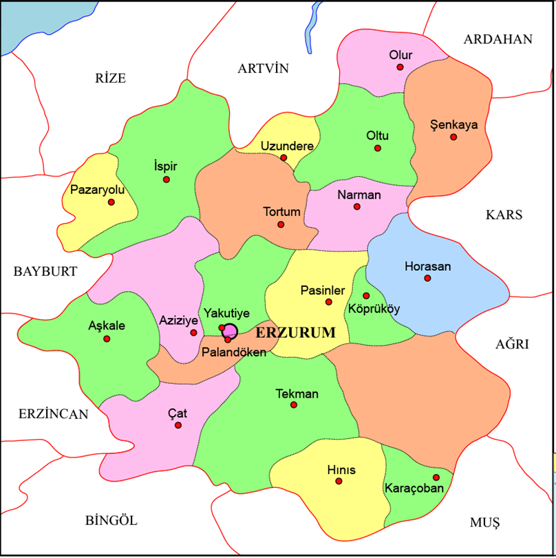 erzurum_ili_haritasi.png