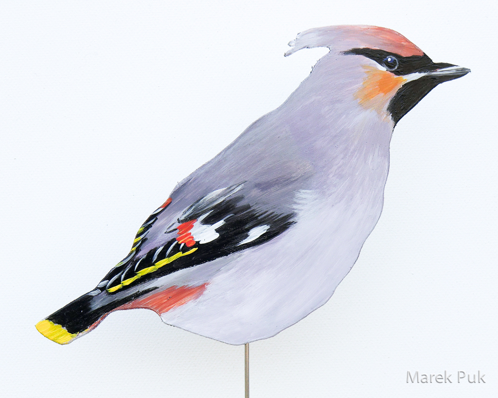 Seidenschwanz 067a-Dekovogel