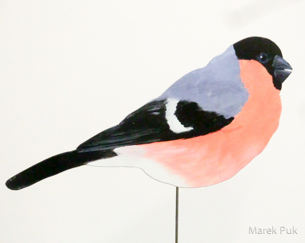 Dompfaff (m) 021a-Dekovogel