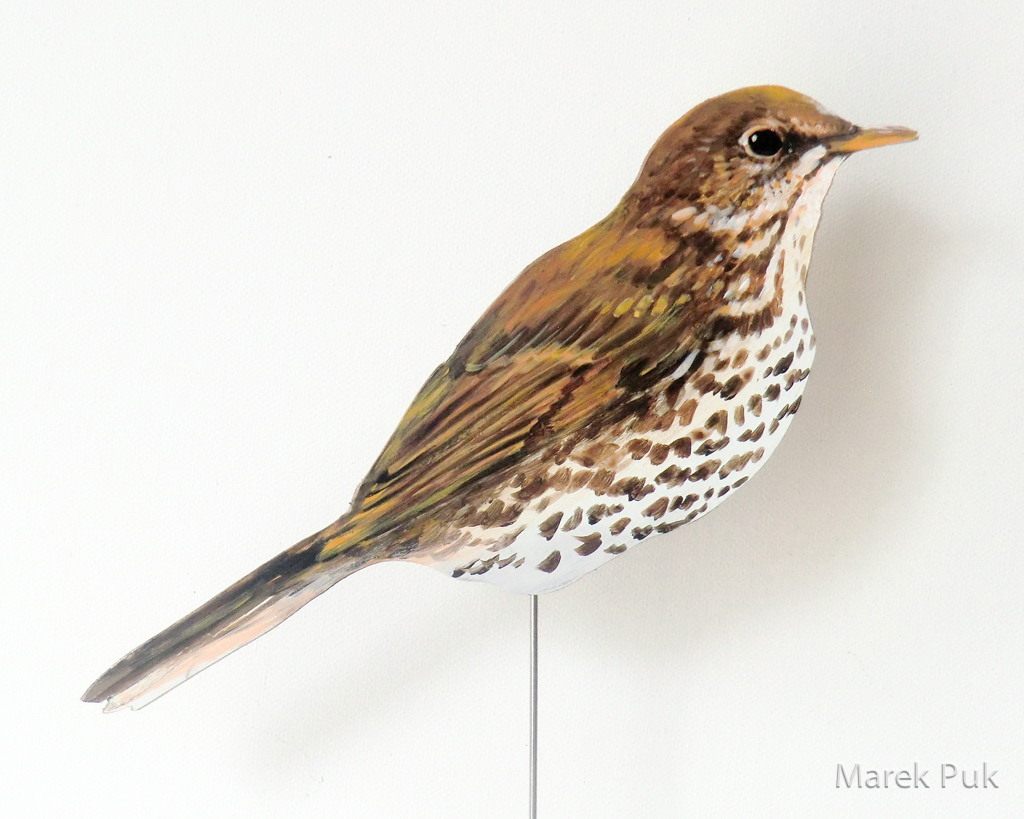 Singdrossel 015b-Dekovogel