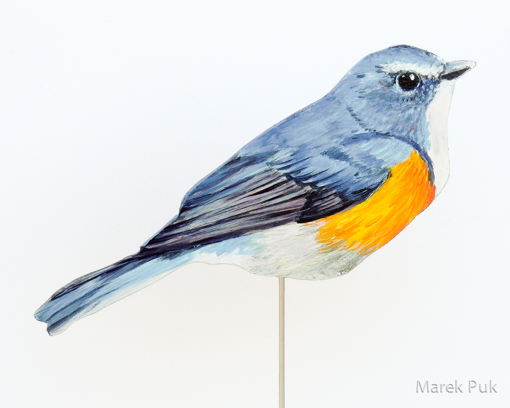 Blauschwanz 080a-Dekovogel