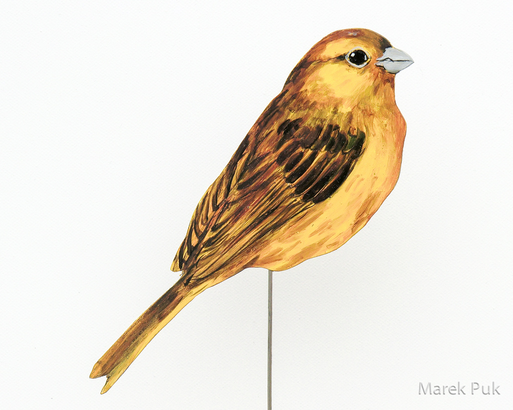Goldammer 008b-Dekovogel