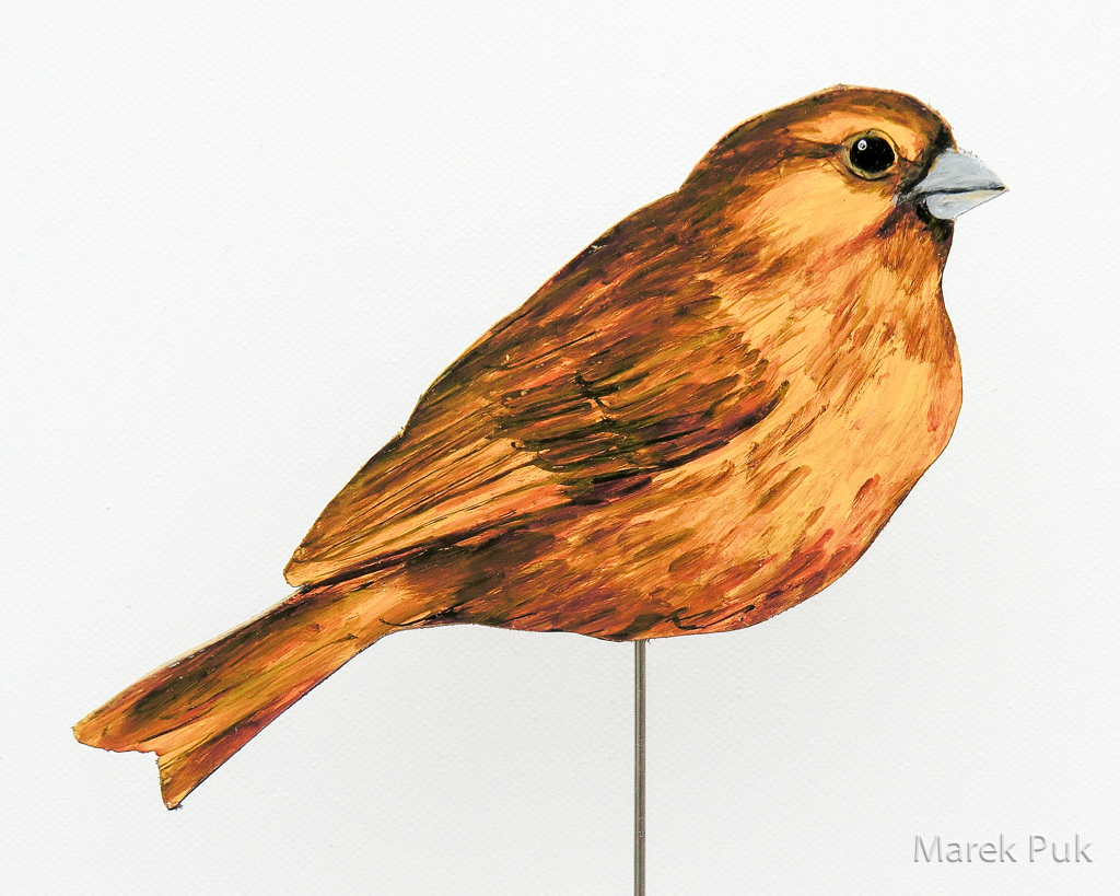 Goldammer 008a-Dekovogel