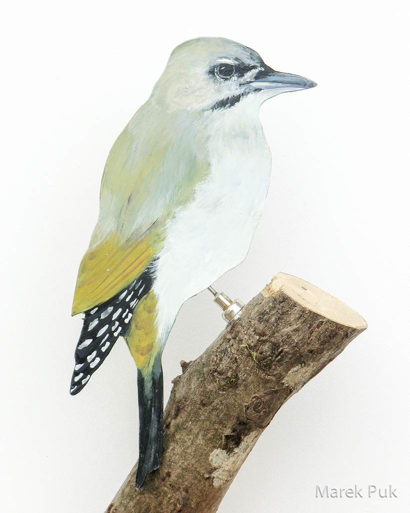 Grauspecht 031a-Dekovogel