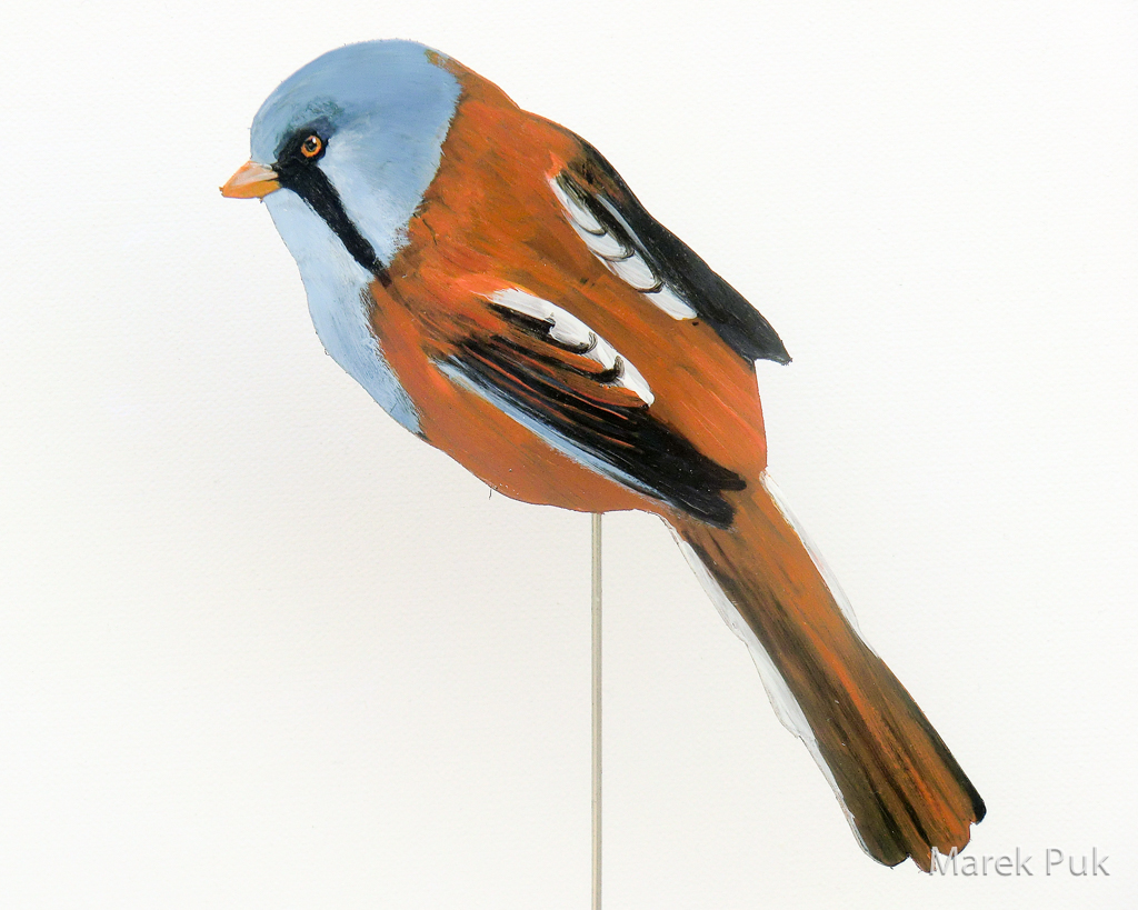 Bartmeise 075a-Dekovogel