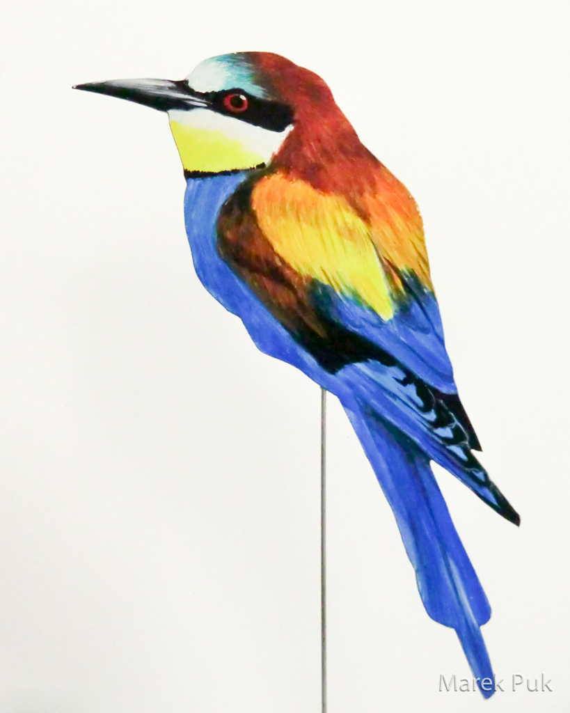 Bienenfresser 040b-Dekovogel