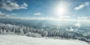 Winter auf dem Hochblauen