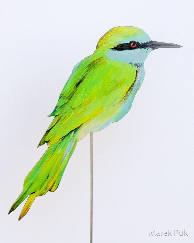 Smaragdspint 103a-Dekovogel