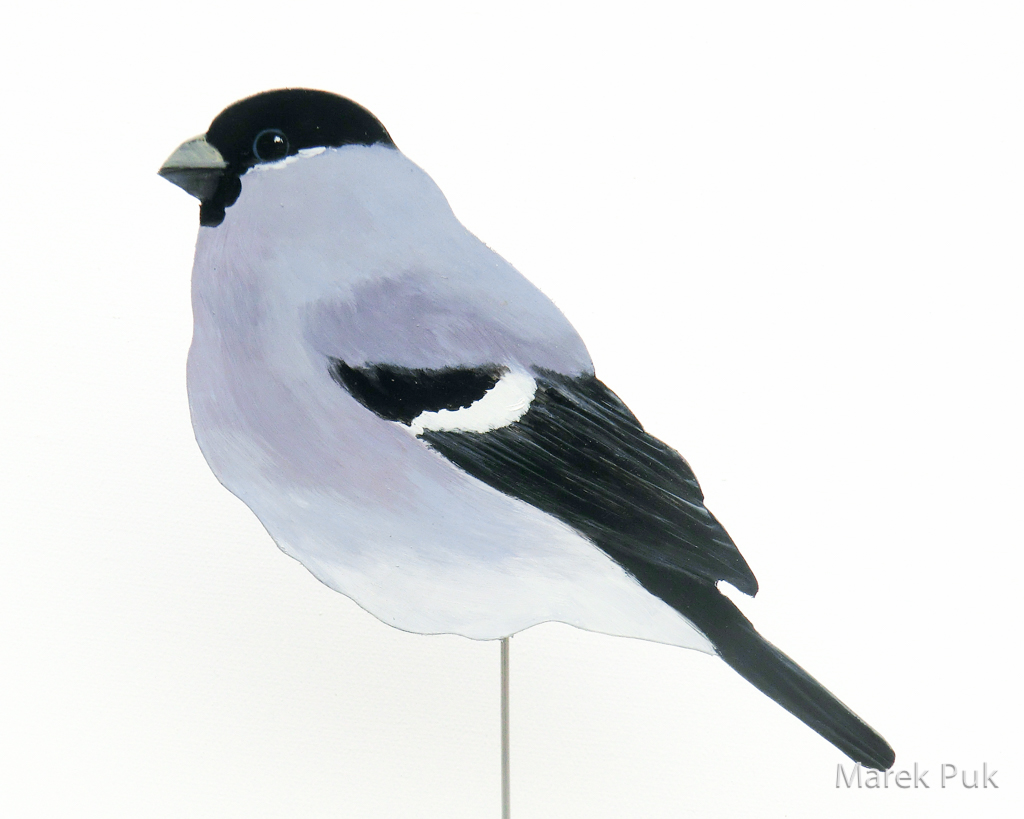 Dompfaff (f) 021b-Dekovogel