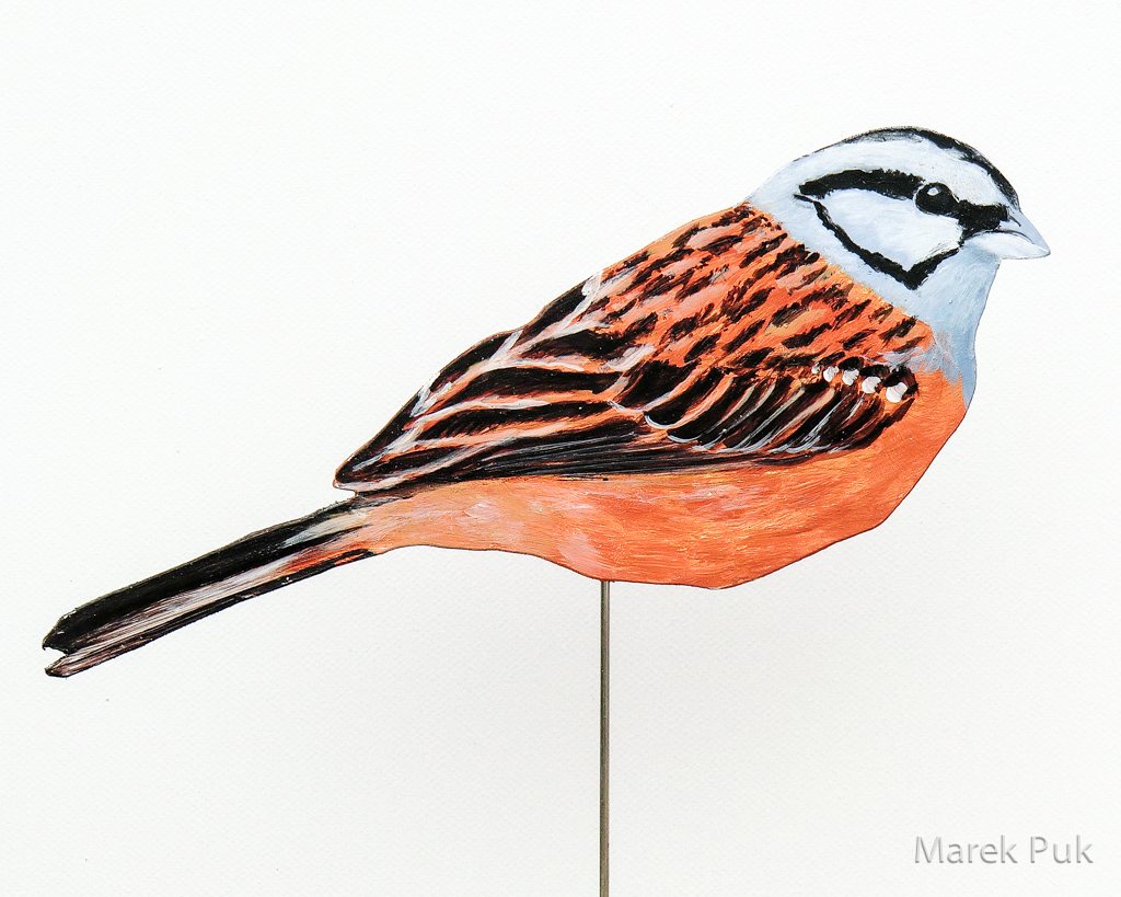 Zippammer 048a-Dekovogel