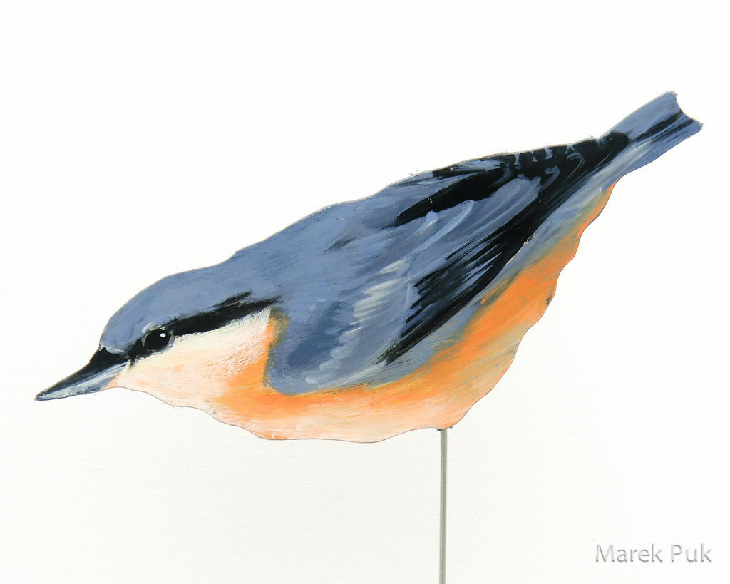 Kleiber 035a-Dekovogel