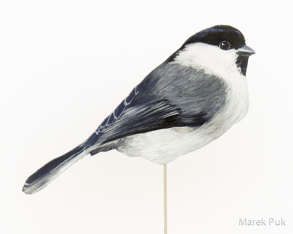 Mönchsmeise 056a-Dekovogel
