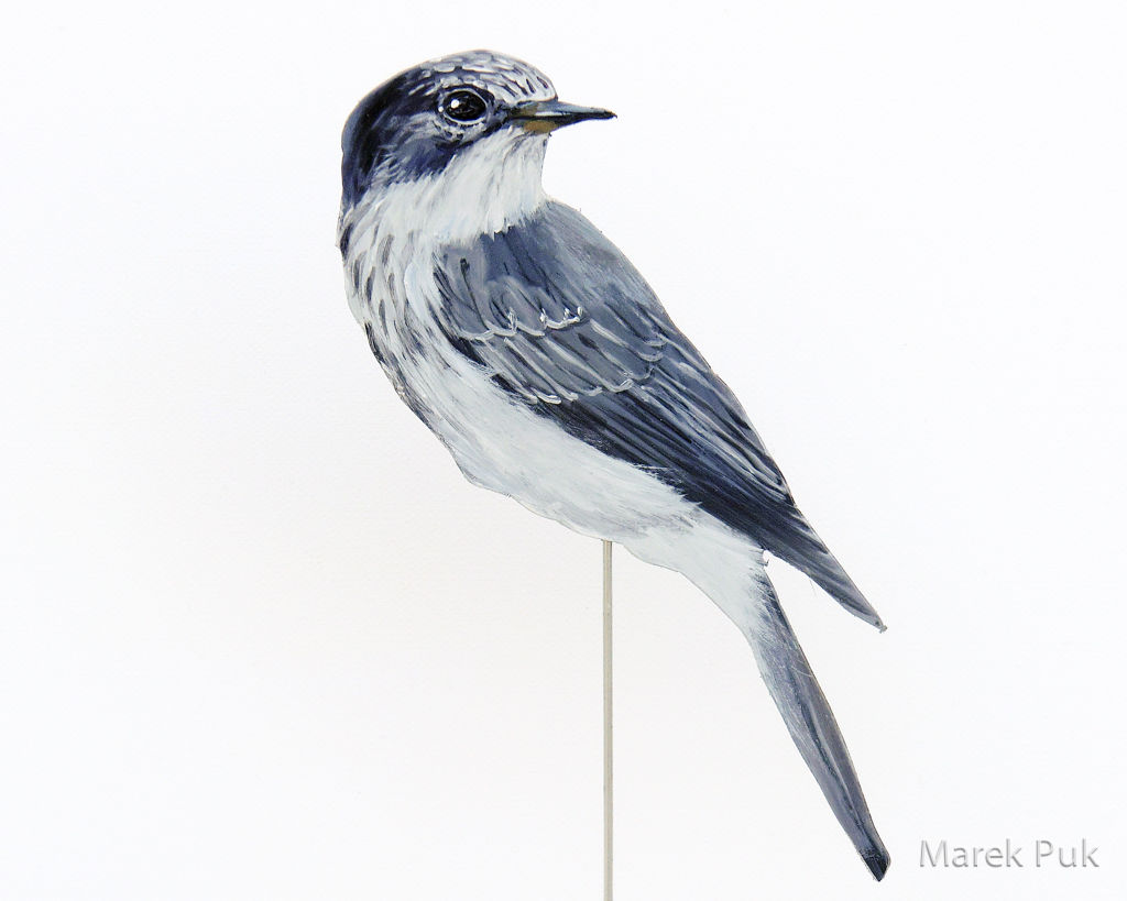 Grauschnäpper 026a-Dekovogel