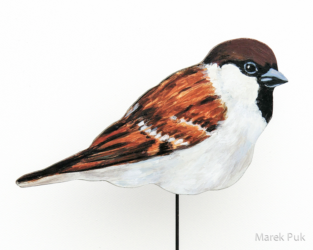 Feldsperling 032c-Dekovogel