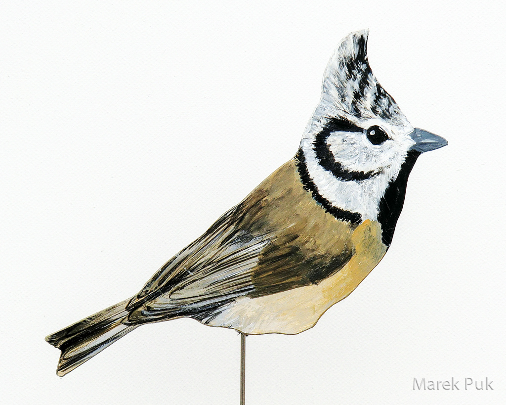 Haubenmeise 046a-Dekovogel