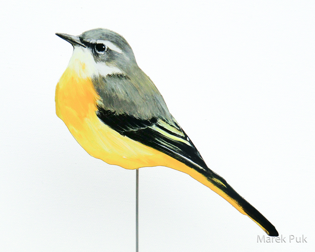 Schafstelze 037a-Dekovogel
