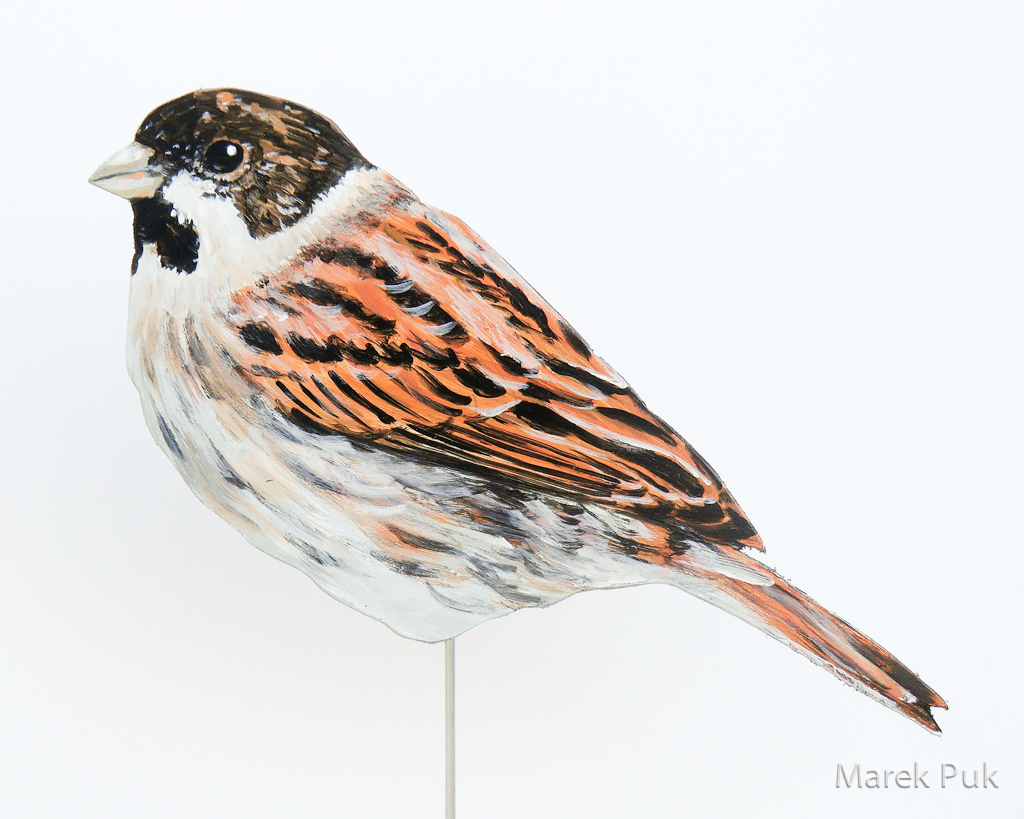 Rohrammer 052a-Dekovogel