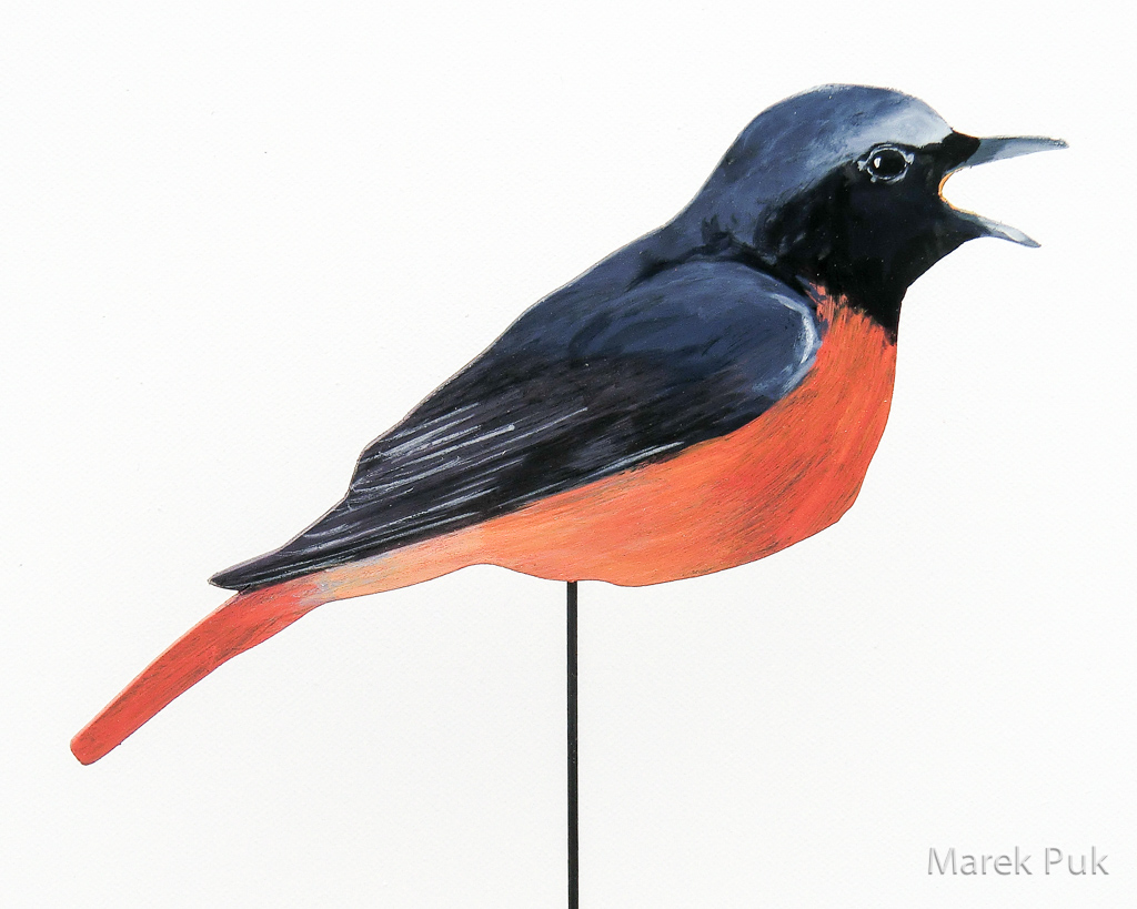 Gartenrotschwanz 012b-Dekovogel