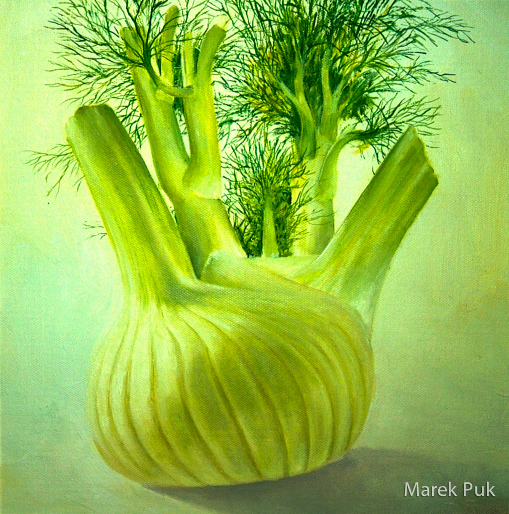 Fenchelknolle