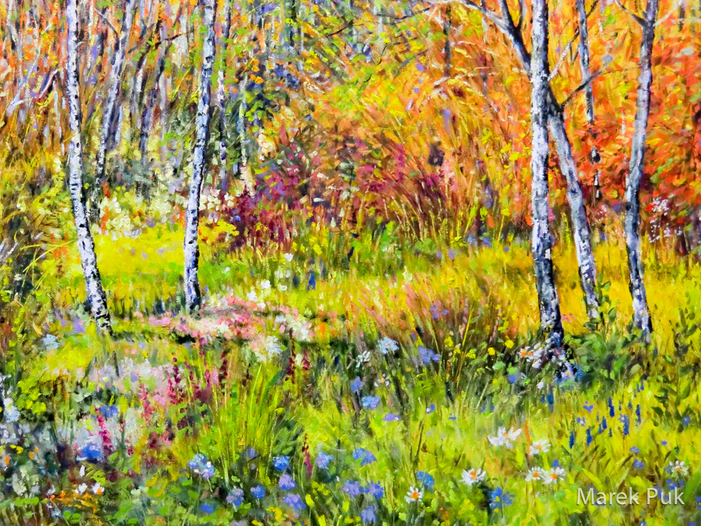 Herbstwald mit Birken