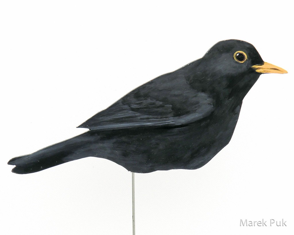 Amsel 001-a-Dekovogel