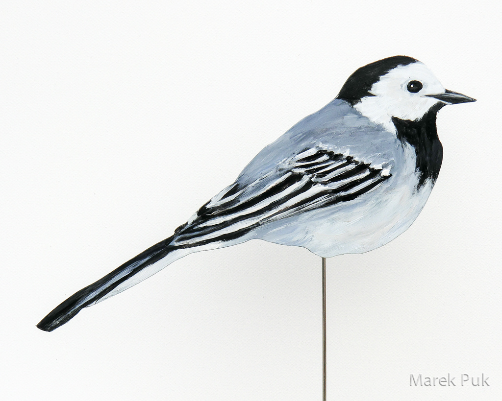 Bachstelze 003a-Dekovogel