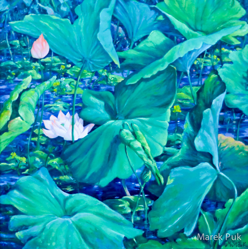Lotusteich mit Blüten