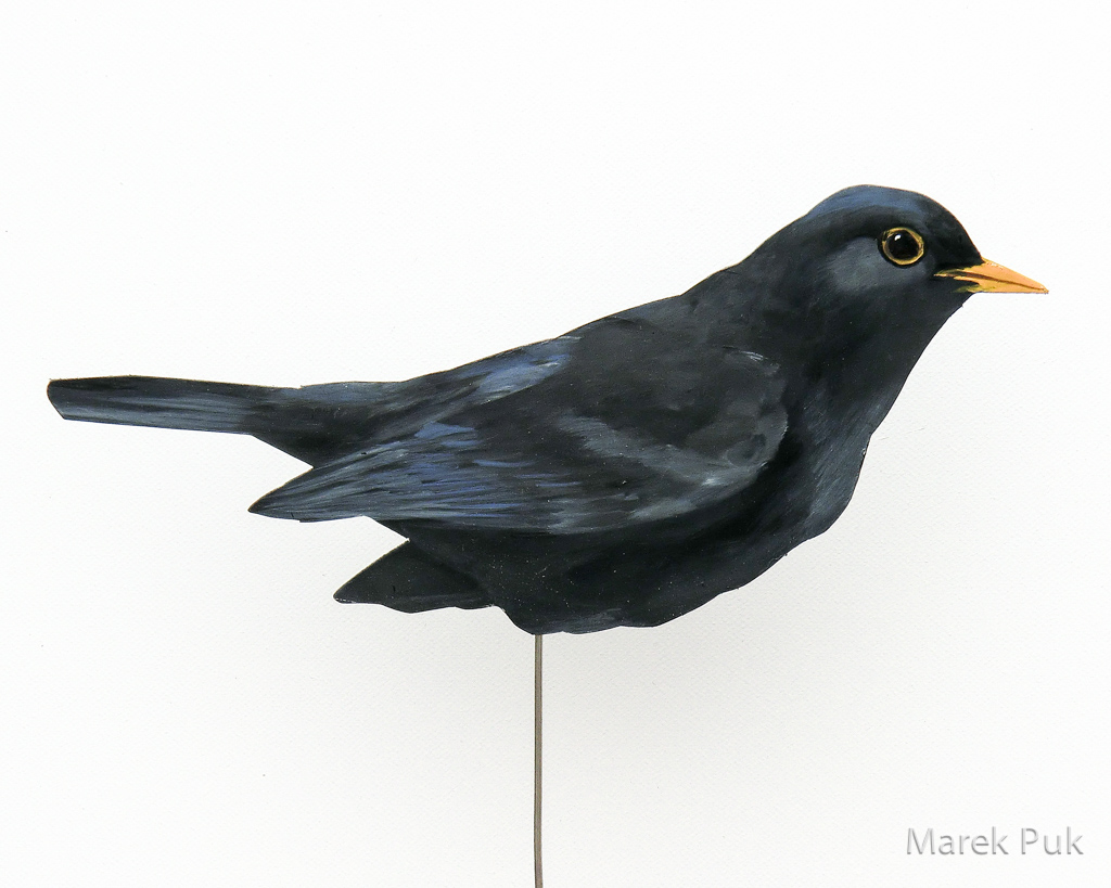 Amsel 001-b-Dekovogel