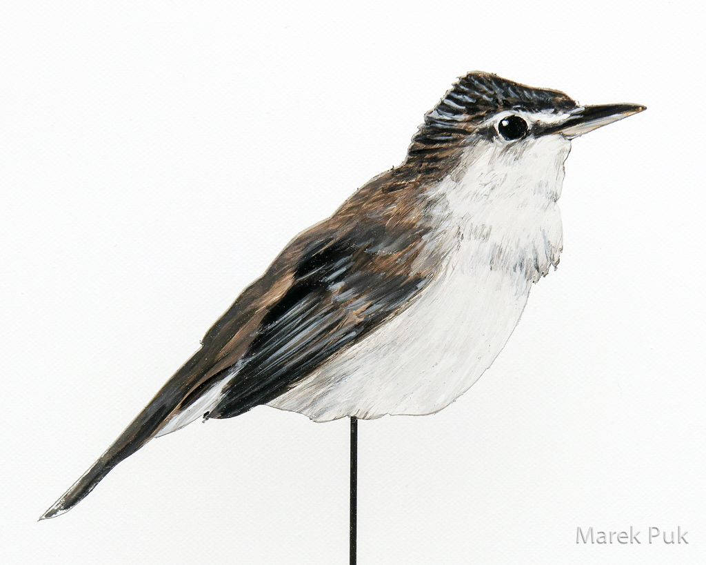 Buschspötter 070a-Dekovogel