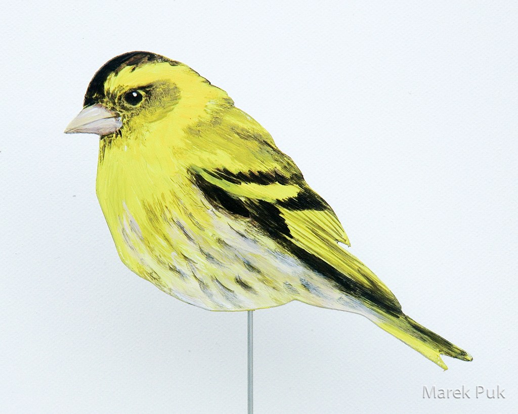 Erlenzeisig 013b-Dekovogel