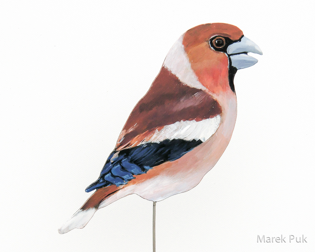 Kernbeißer 020a-Dekovogel