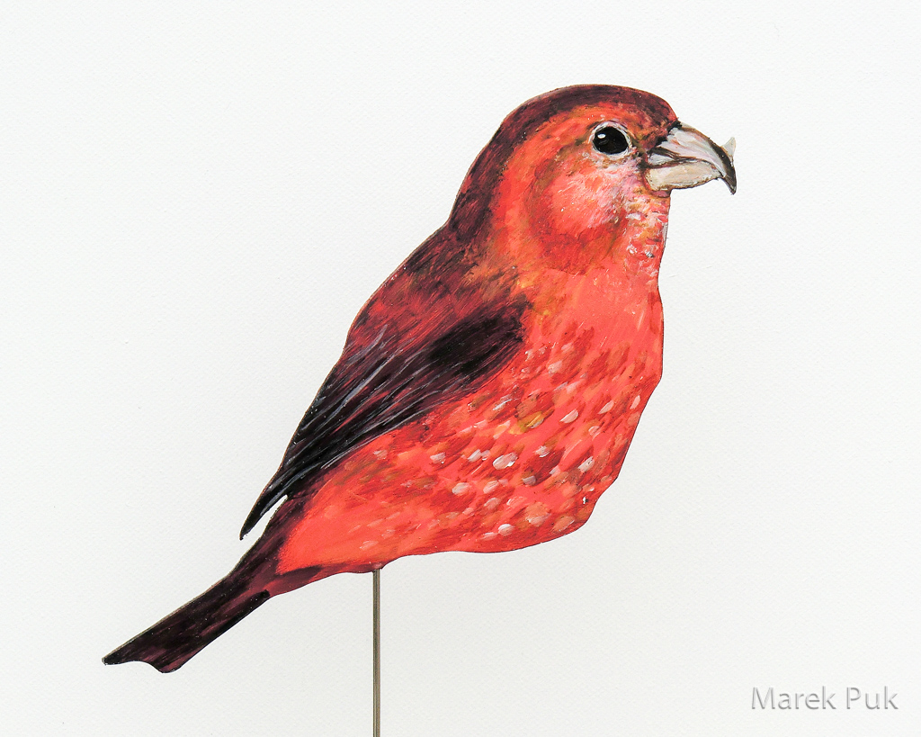 Fichtenkreuzschnabel 022a-Dekovogel
