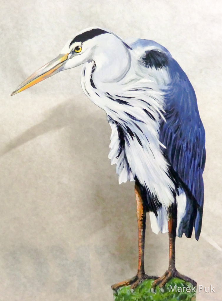 Graureiher 101a-Dekovogel