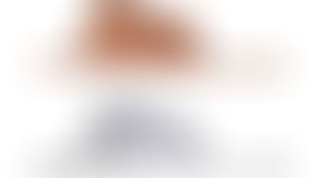 La singularité de notre monde intérieur