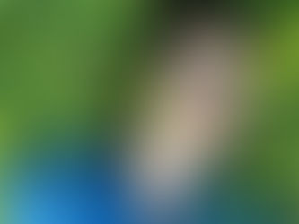 13 Reasons Why: In Conversation with Deaken Bluman