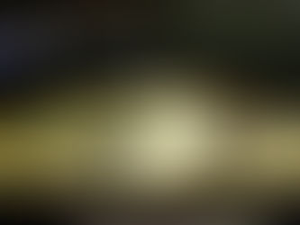 Projeto prevê desconto a microempresa por tempo de atividade ininterrupta