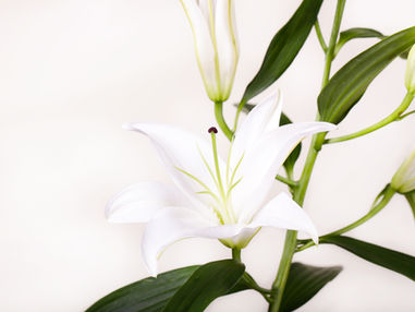 Holy While I Wait: Fighting for Purity in Private