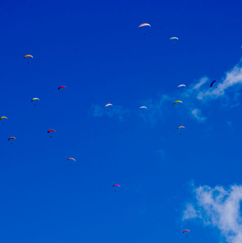 DSCF0235