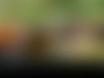 The Importance of Shopping Local