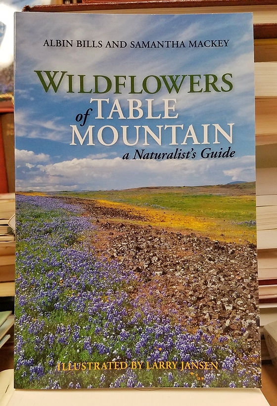 Wildflowers of Table Mountain - a Naturalist's Guide | The Bookstore Wildflowers of Table Mountain - a Naturalist's Guide | The Bookstore