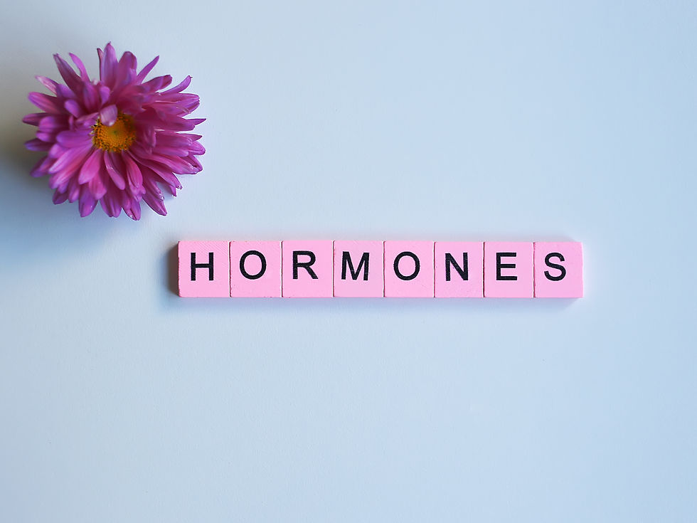 Pink blocks spelling "HORMONES" next to a vibrant purple flower on a light blue background, creating a calm and colorful composition.