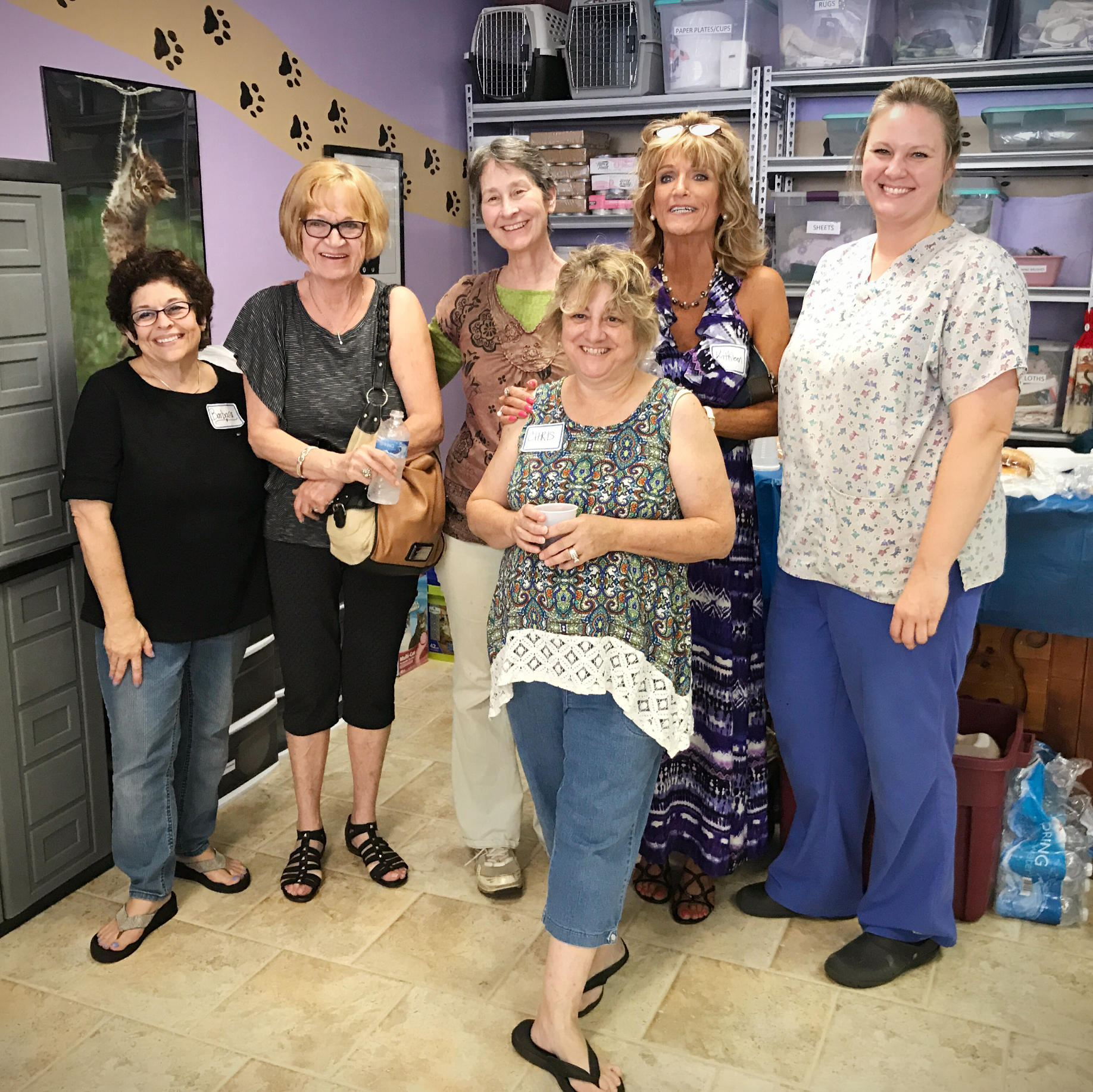 A Purr-fect Fit Animal Rescue & Adoption Center