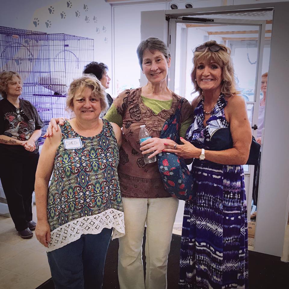 A Purr-fect Fit Animal Rescue & Adoption Center