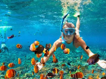 SNORKELING
